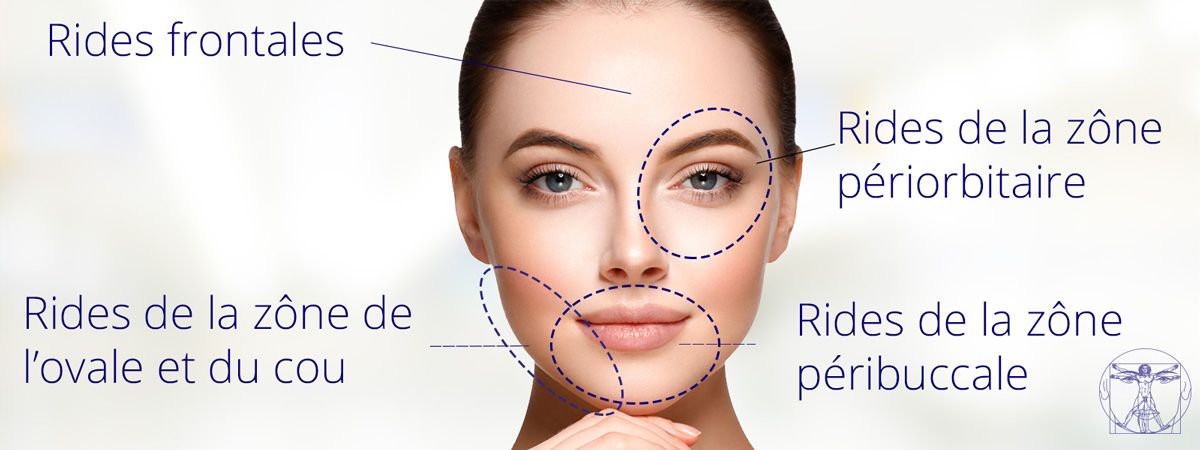 Les zones des rides du visage